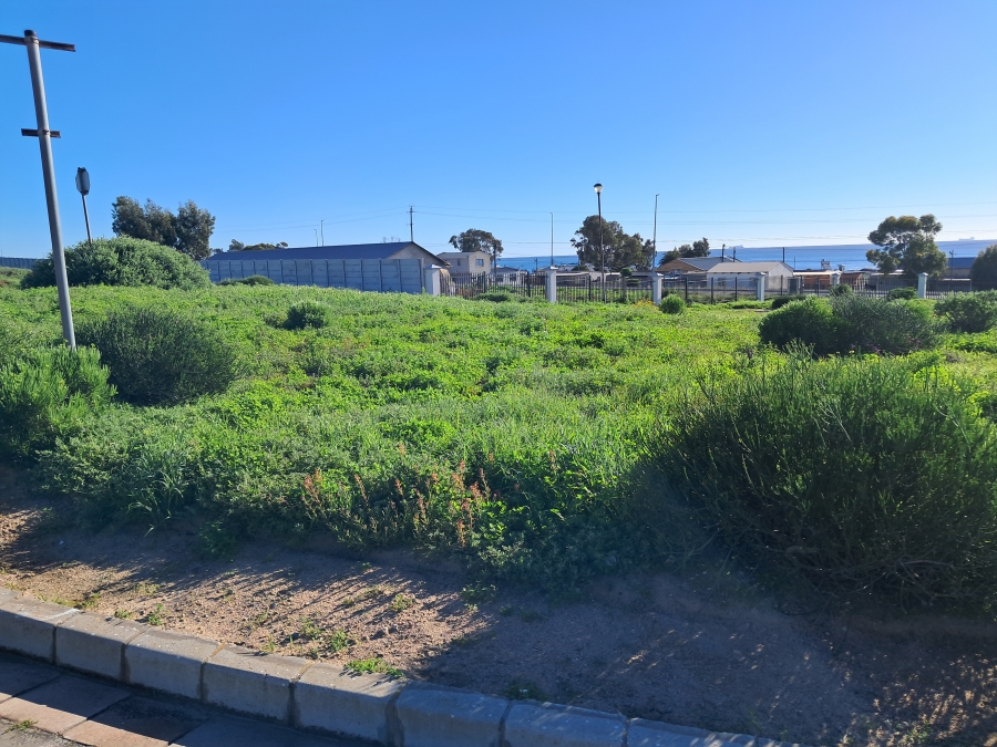 0 Bedroom Property for Sale in Steenbergs Cove Western Cape